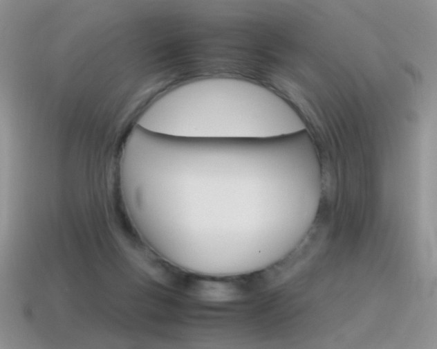 X0000115560167200911061155