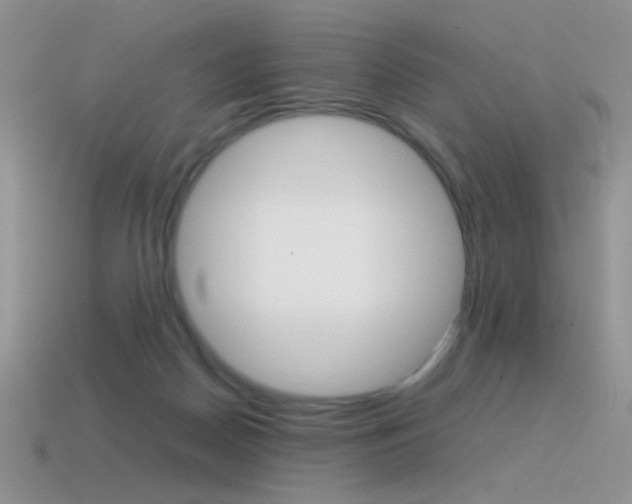 X0000115560170200911061155
