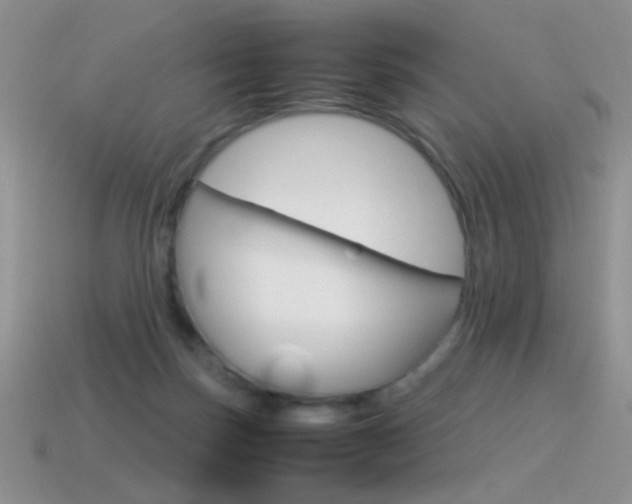X0000115560171200911061155