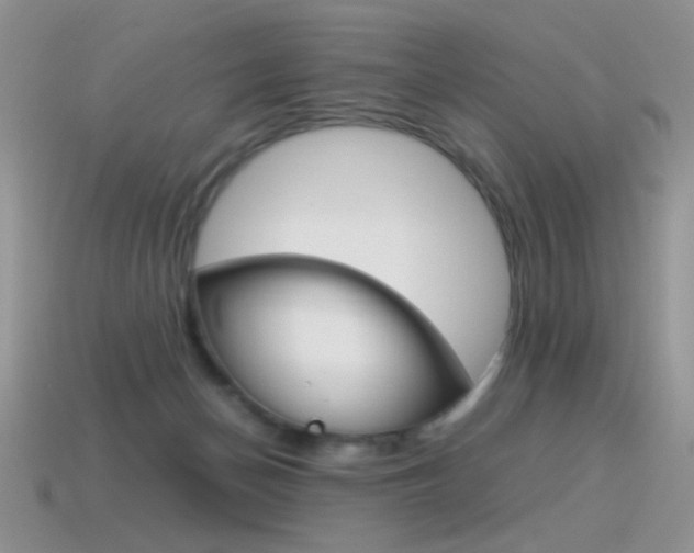 X0000115560174200911061155