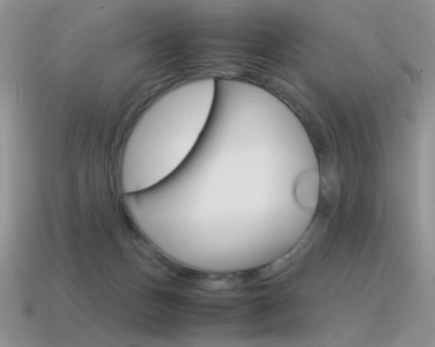 X0000115560175200911061155