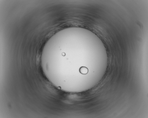 X0000115560177200911061155