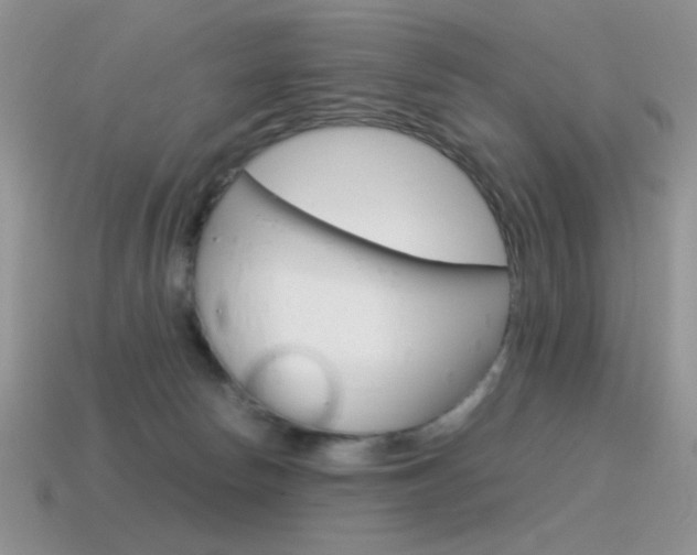 X0000115560178200911061155