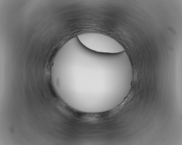 X0000115560179200911061155