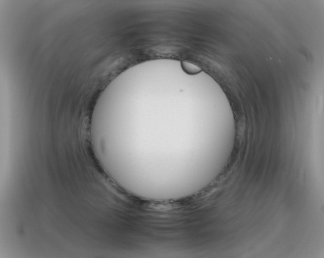 X0000115560181200911061155