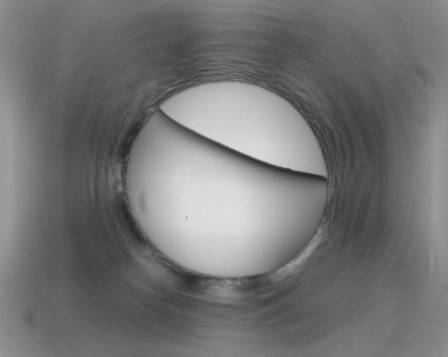 X0000115560182200911061155