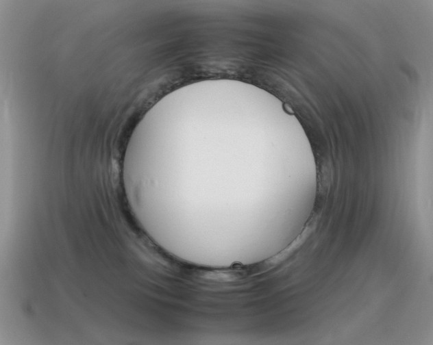 X0000115560183200911061155