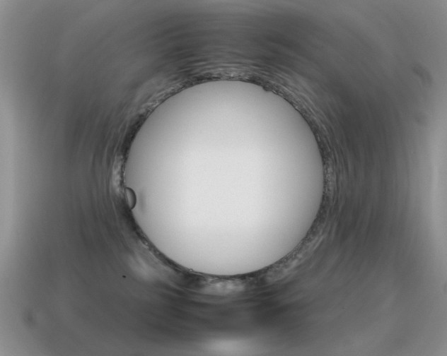X0000115560185200911061155