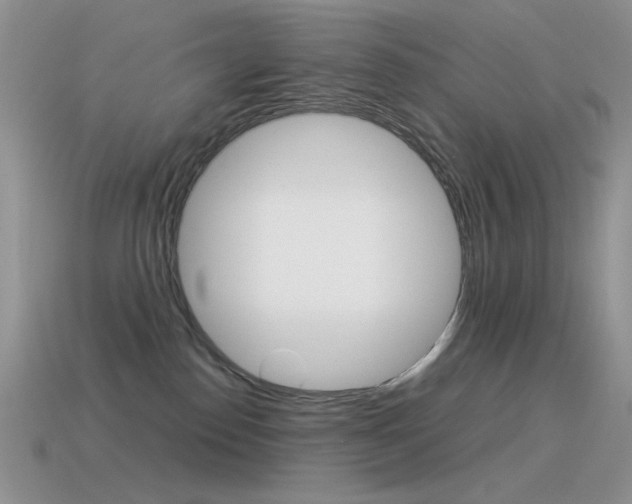 X0000115560186200911061155
