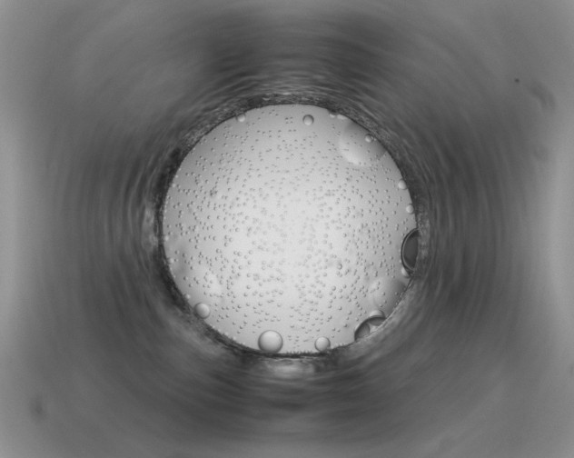 X0000115560187200911061155