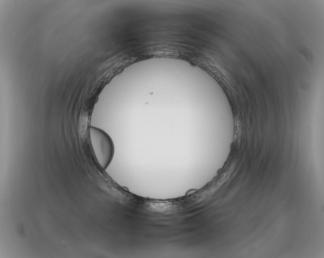 X0000115560189200911061155