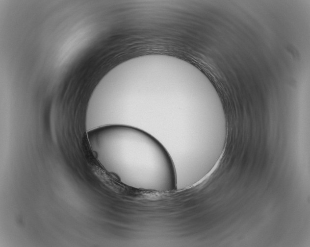 X0000115560190200911061155