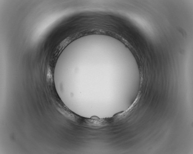 X0000115560191200911061155