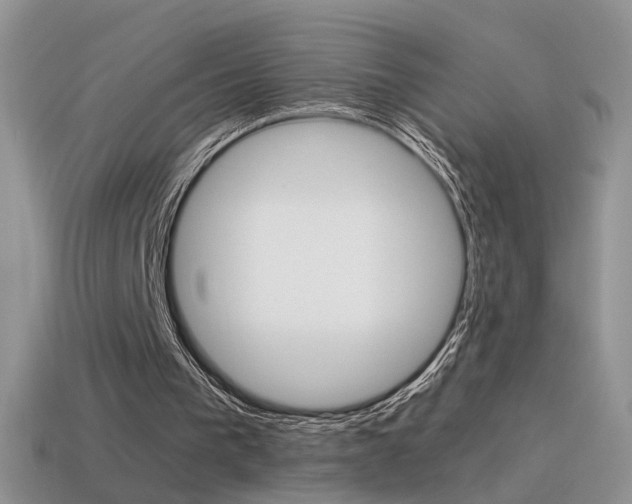 X0000115560193200911061155