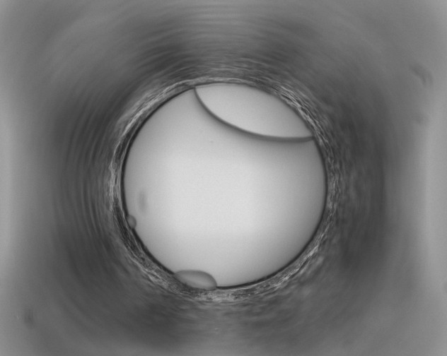 X0000115560194200911061154