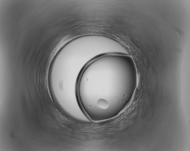 X0000115560195200911061154