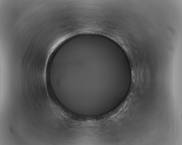 X0000115560196200911061154