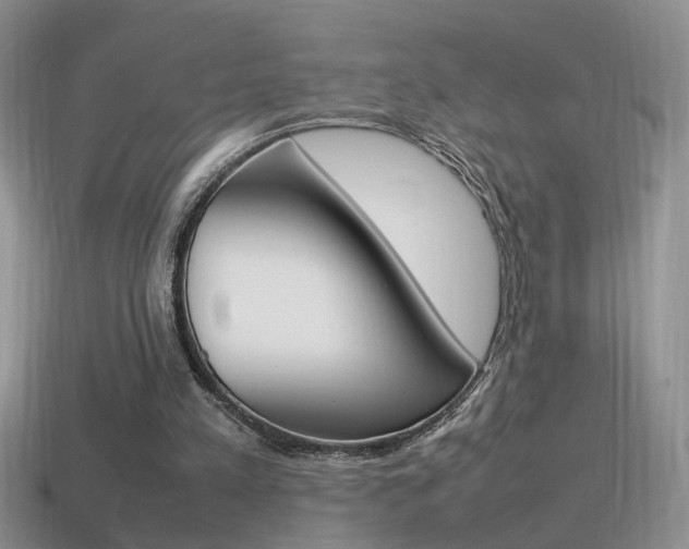 X0000115560197200911061154