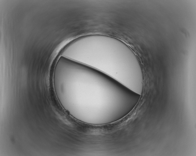 X0000115560200200911061154