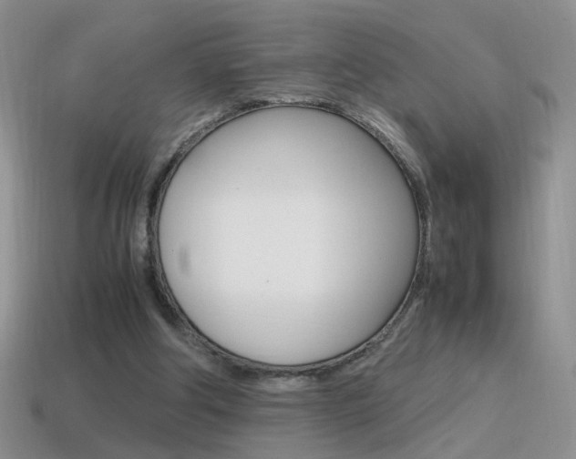 X0000115560202200911061154