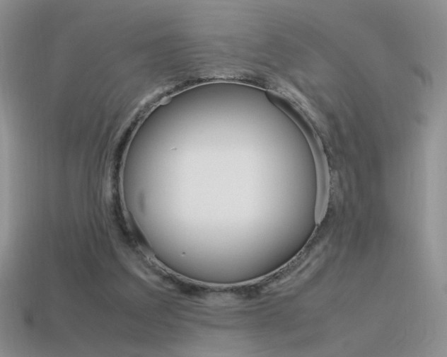 X0000115560203200911061154