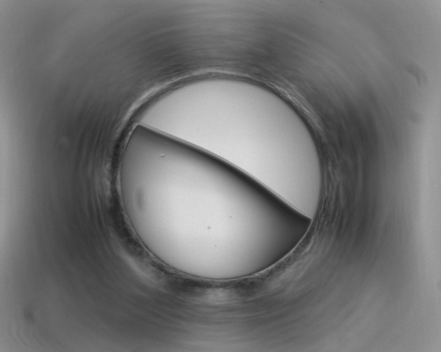 X0000115560204200911061154