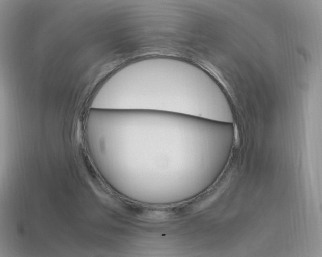 X0000115560205200911061154