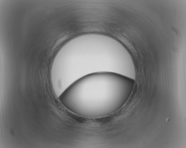 X0000115560207200911061154