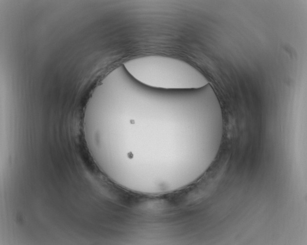 X0000115560210200911061154