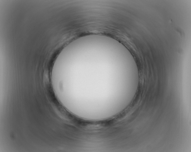 X0000115560213200911061154