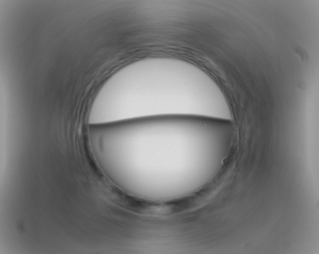X0000115560217200911061154