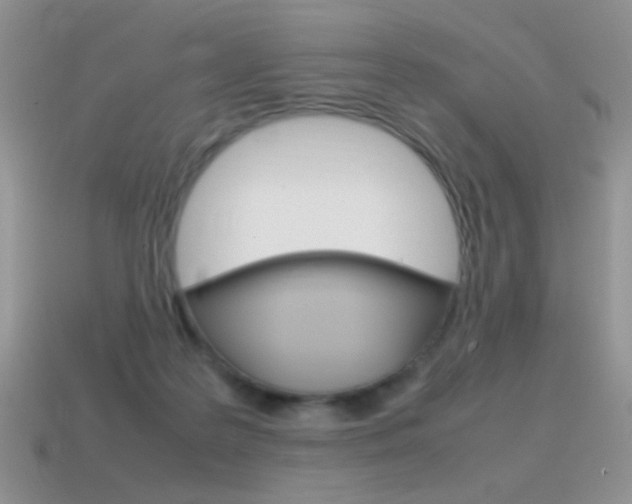 X0000115560219200911061154