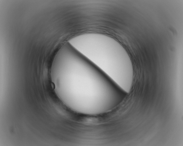 X0000115560220200911061154