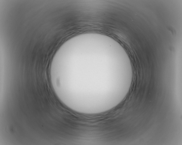 X0000115560221200911061154