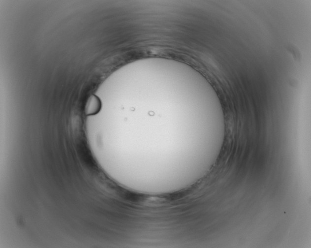 X0000115560222200911061154