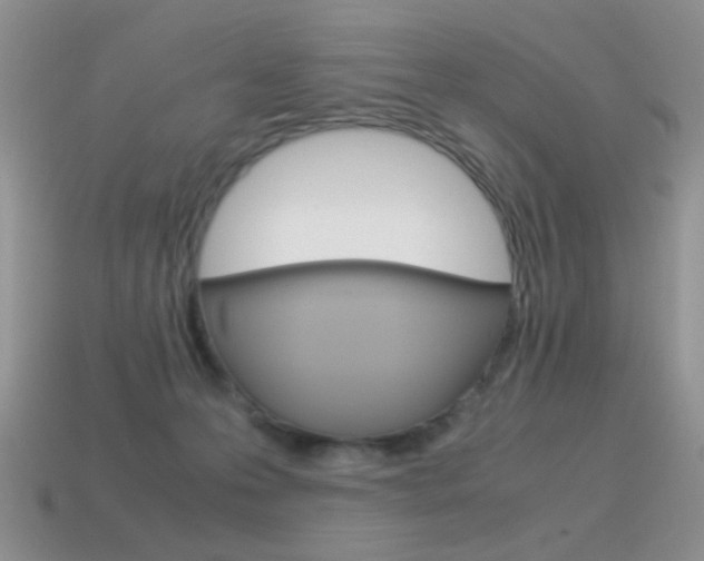 X0000115560223200911061154