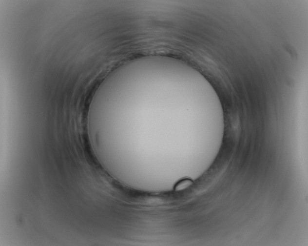 X0000115560224200911061154