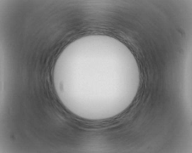 X0000115560225200911061154