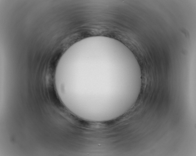 X0000115560226200911061154