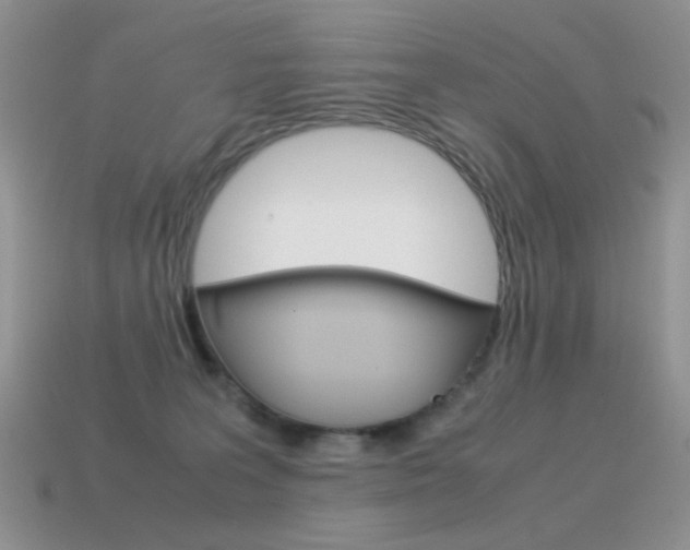 X0000115560227200911061154