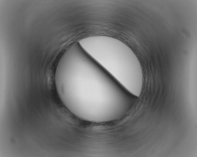 X0000115560228200911061154