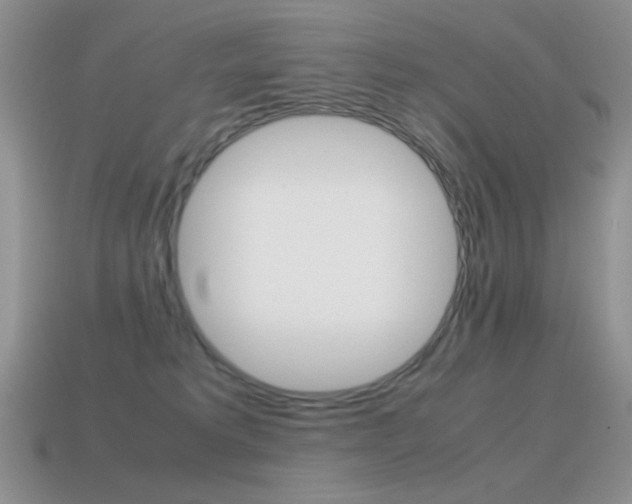X0000115560229200911061154
