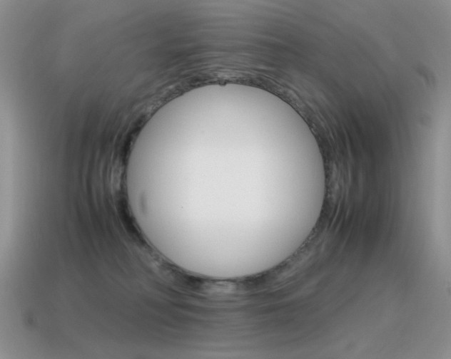 X0000115560230200911061154