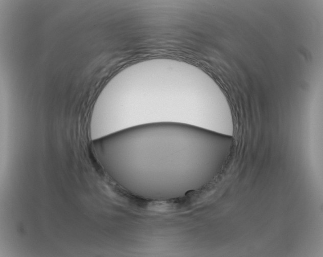 X0000115560231200911061154