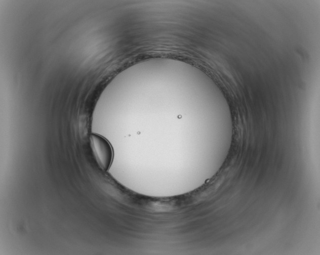 X0000115560232200911061154