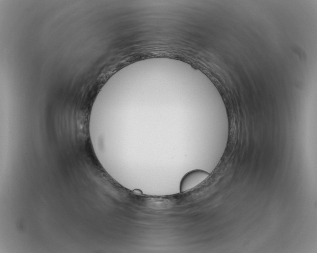 X0000115560234200911061154