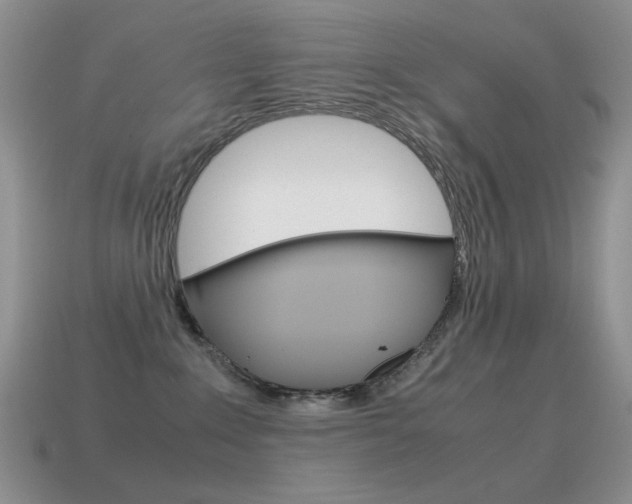X0000115560235200911061154