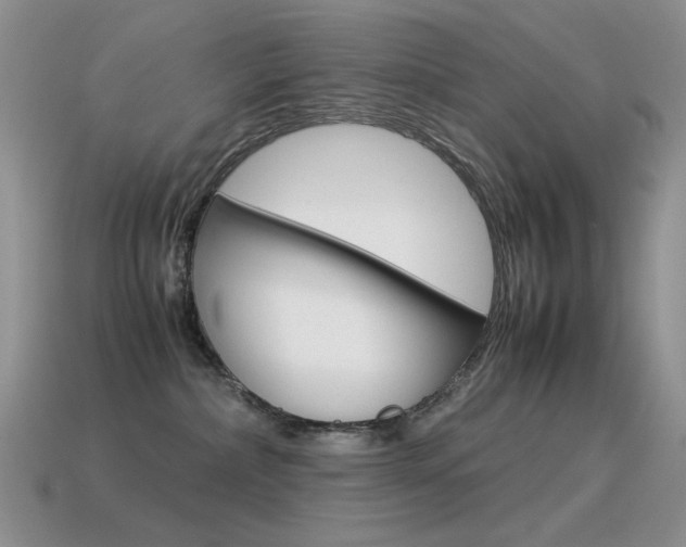 X0000115560236200911061154