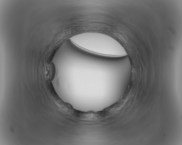 X0000115560237200911061154