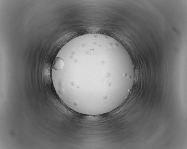 X0000115560238200911061154